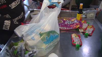 New York ban on plastic bags starts Sunday