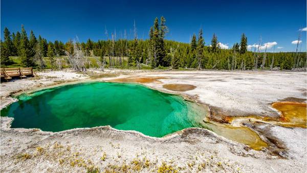 Yellowstone National Park employee finds part of a foot in a shoe floating in Abyss Pool