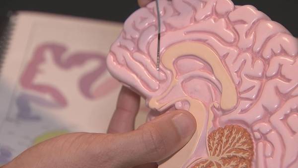 New study involving deep brain stimulation introduced locally to treat substance abuse