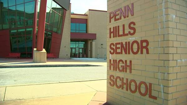 Penn Hills School District looking for public input amid possible mascot change